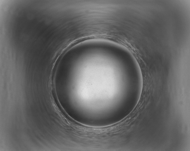 X0000073420002200608041036