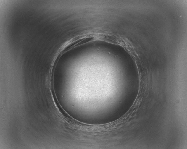 X0000073420003200608041036