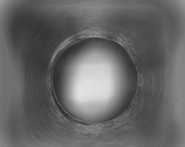 X0000073420004200608041036