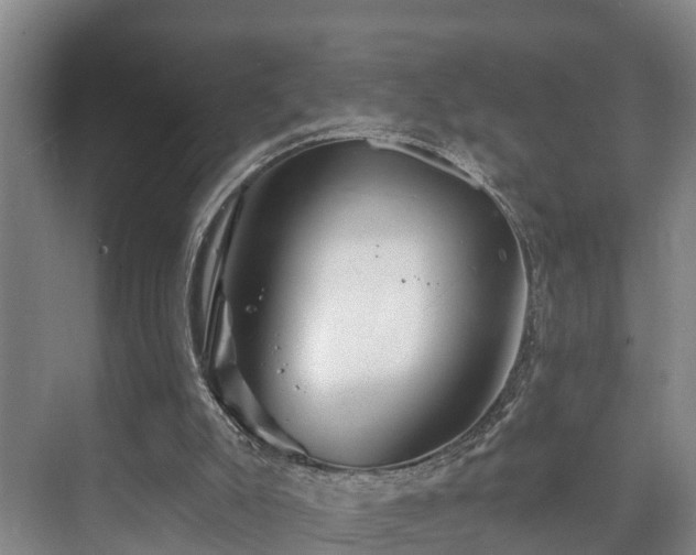 X0000073420007200608041036