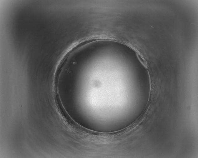 X0000073420008200608041036