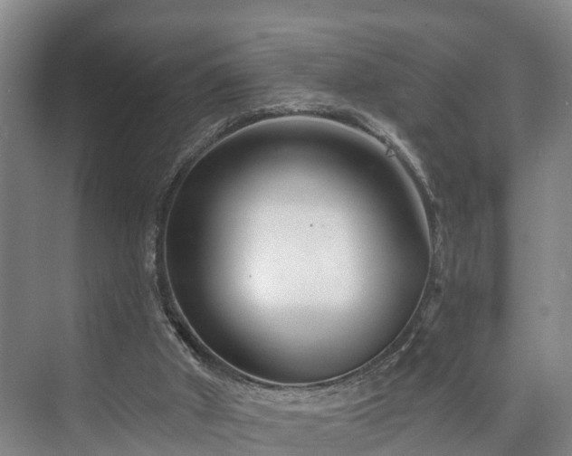 X0000073420010200608041036