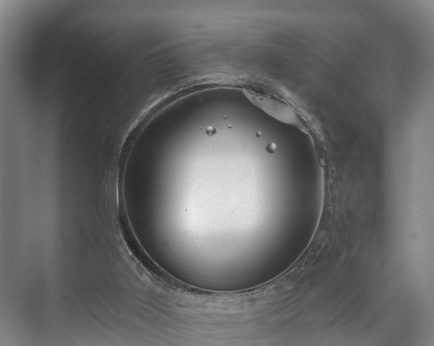 X0000073420011200608041036