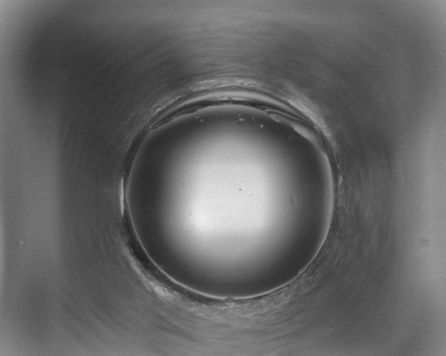 X0000073420013200608041036