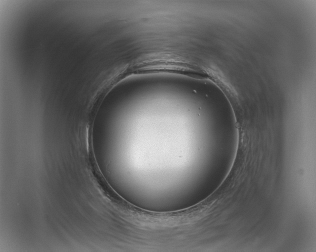 X0000073420014200608041036