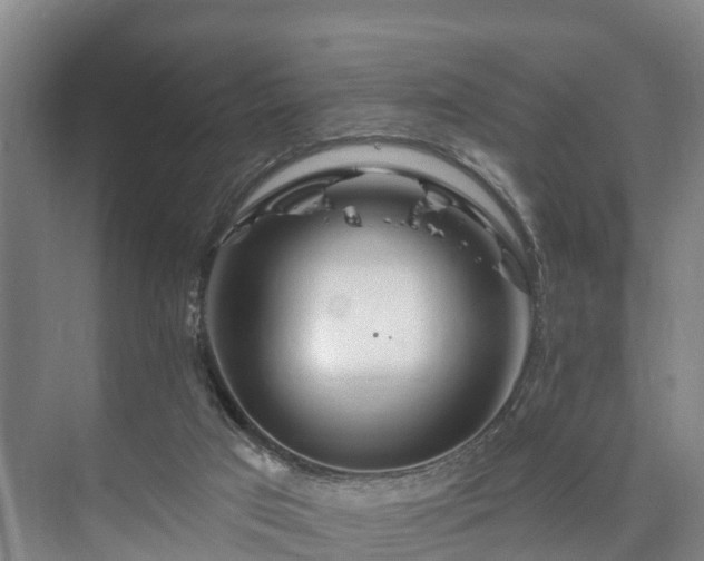 X0000073420017200608041036