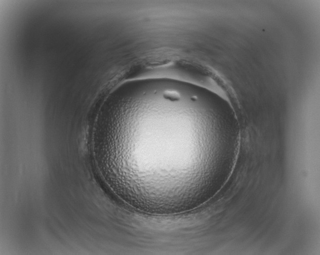 X0000073420018200608041036