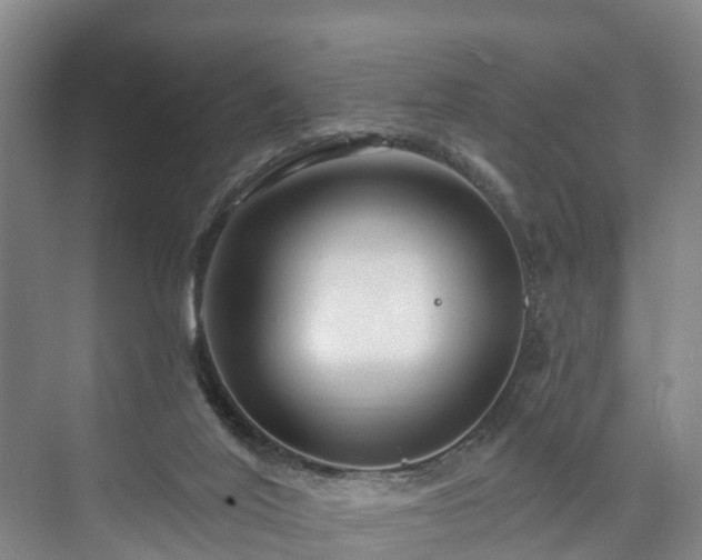 X0000073420020200608041036