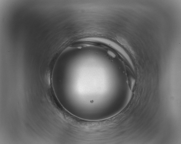 X0000073420021200608041036