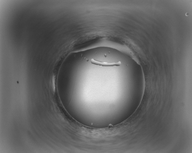 X0000073420022200608041036