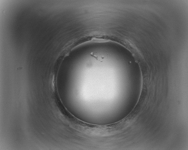 X0000073420024200608041036