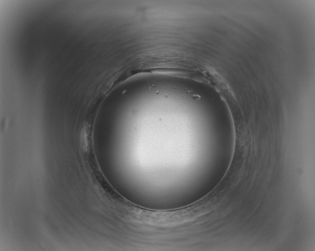 X0000073420026200608041036