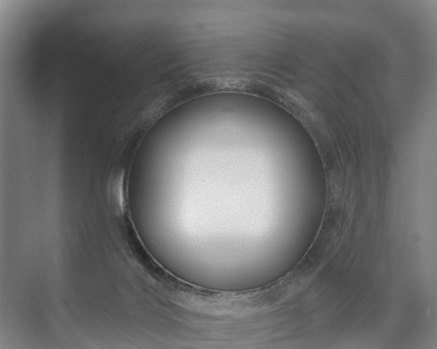 X0000073420028200608041036