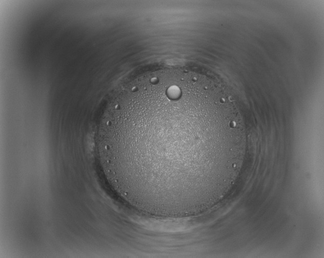 X0000073420032200608041036