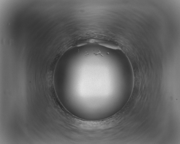 X0000073420034200608041036