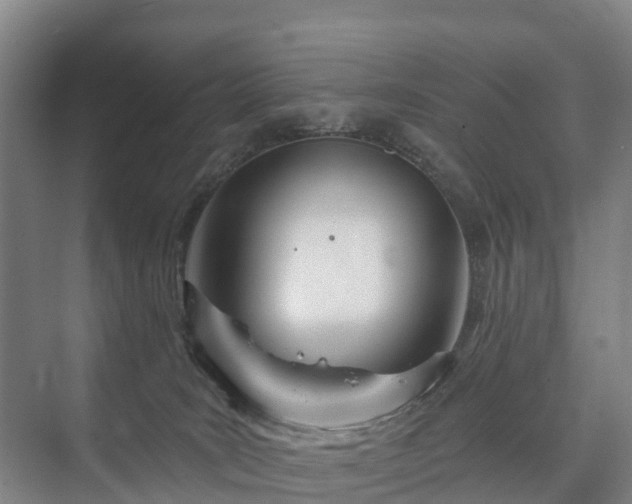 X0000073420035200608041036