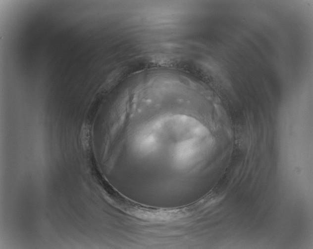 X0000073420036200608041036