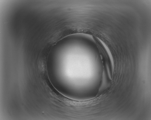 X0000073420039200608041036