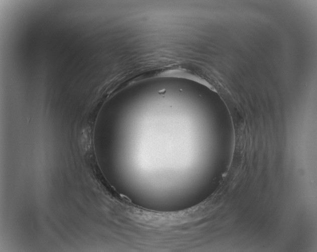 X0000073420043200608041036