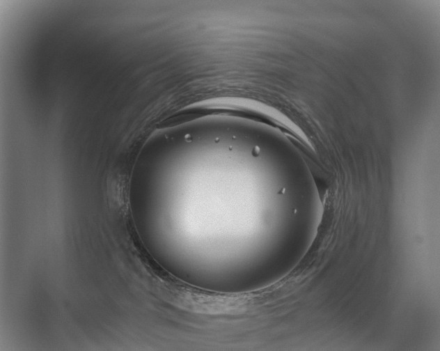 X0000073420044200608041036