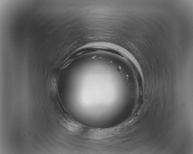 X0000073420045200608041035