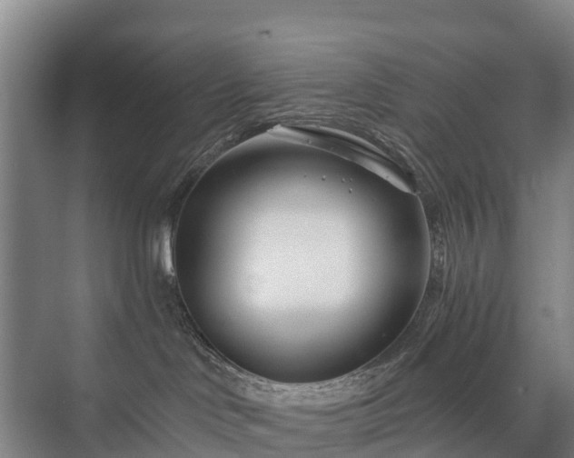 X0000073420046200608041035