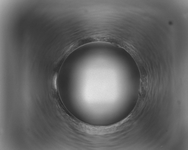 X0000073420047200608041035