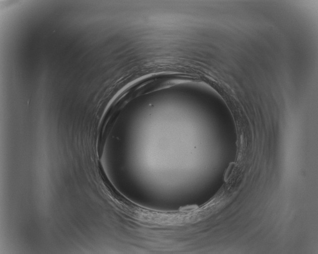 X0000073420048200608041035