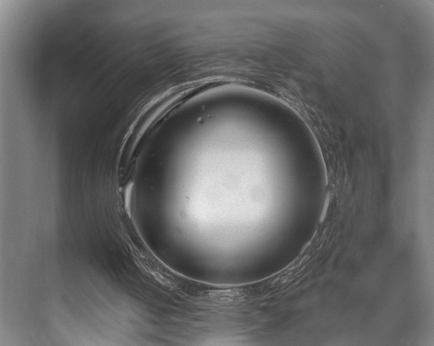 X0000073420050200608041035