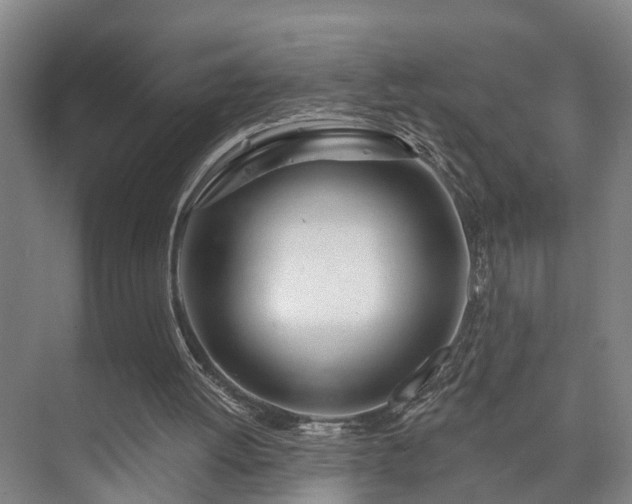 X0000073420052200608041035