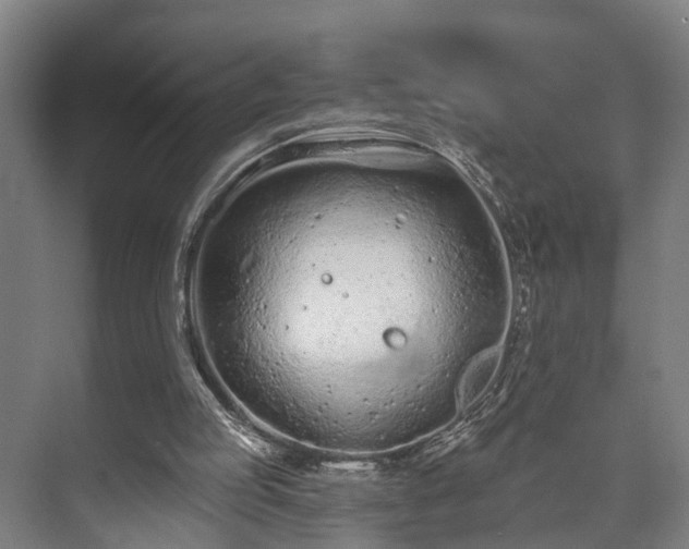 X0000073420053200608041035