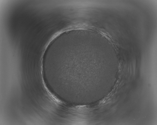 X0000073420054200608041035