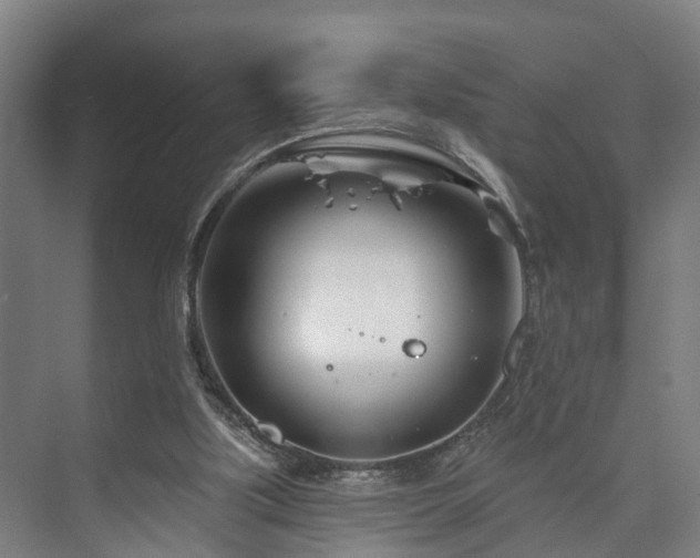 X0000073420059200608041035