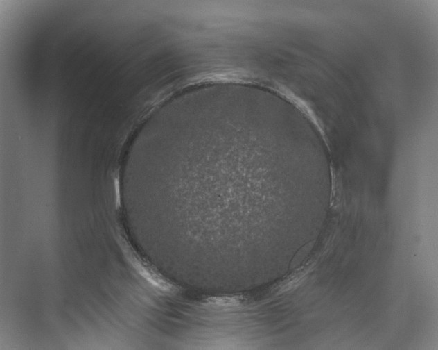 X0000073420061200608041035