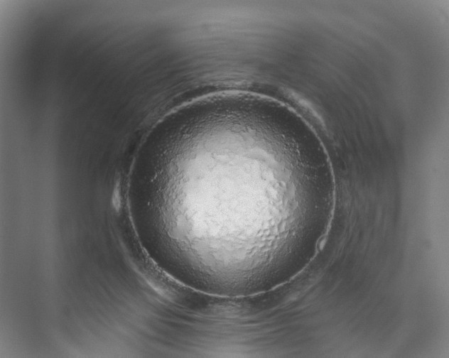 X0000073420069200608041035