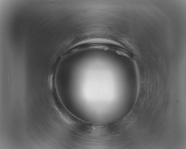 X0000073420070200608041035