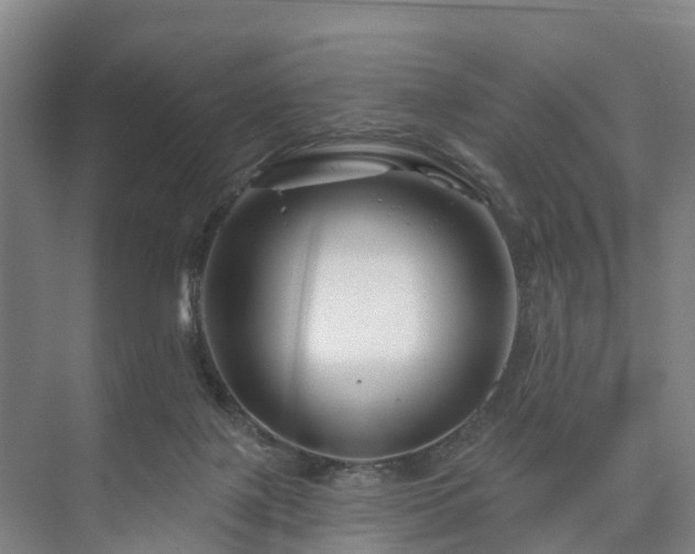 X0000073420075200608041035