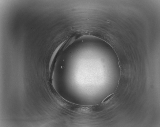 X0000073420086200608041035