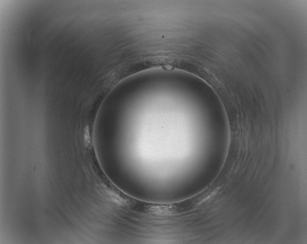 X0000073420089200608041035