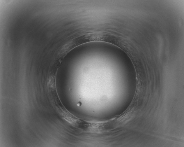 X0000073420096200608041035