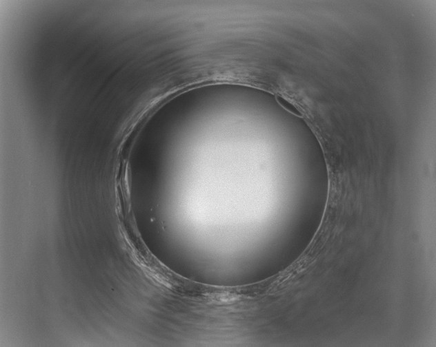 X0000073420098200608041035