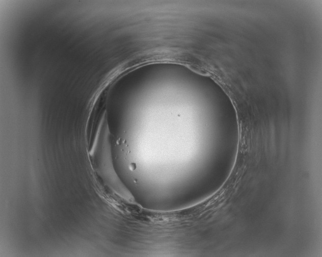 X0000073420099200608041035