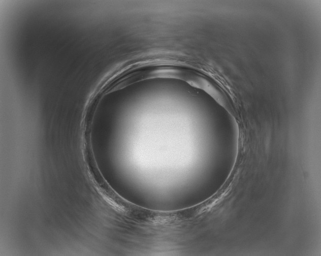 X0000073420101200608041035