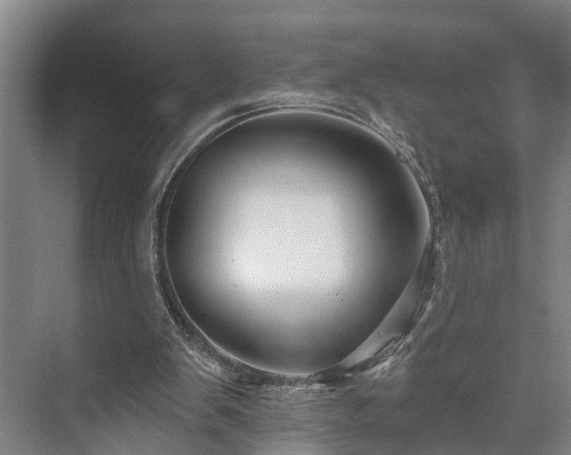 X0000073420103200608041035