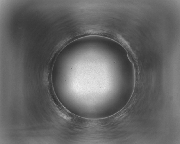 X0000073420106200608041034