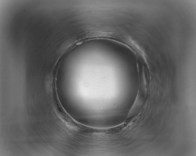 X0000073420107200608041034