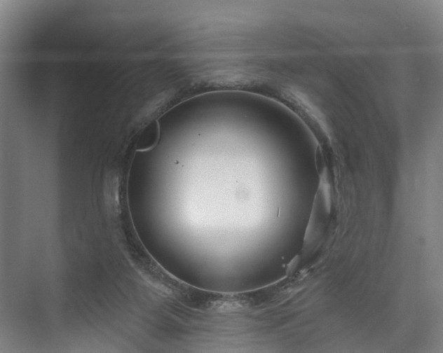 X0000073420115200608041034