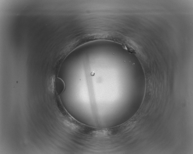 X0000073420118200608041034