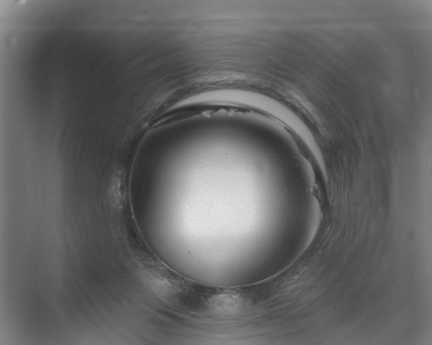 X0000073420119200608041034