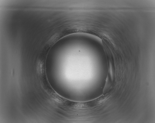 X0000073420123200608041034